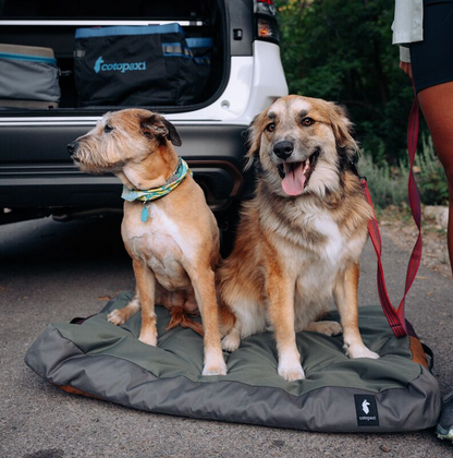 Del Día Dog Bed - US 0241