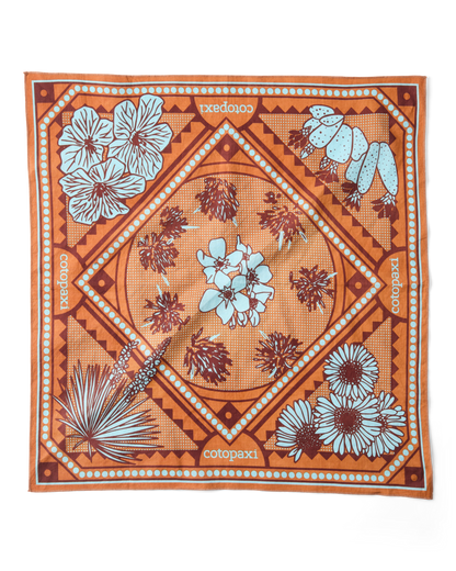 Organic Cotton Bandana - Desert llama - US 0341