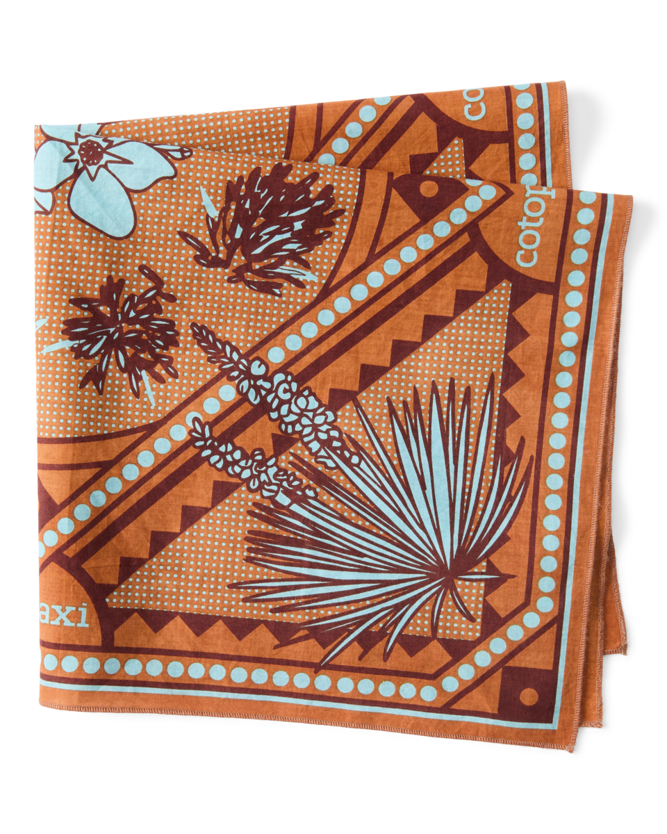 Organic Cotton Bandana - Desert llama - US 0341