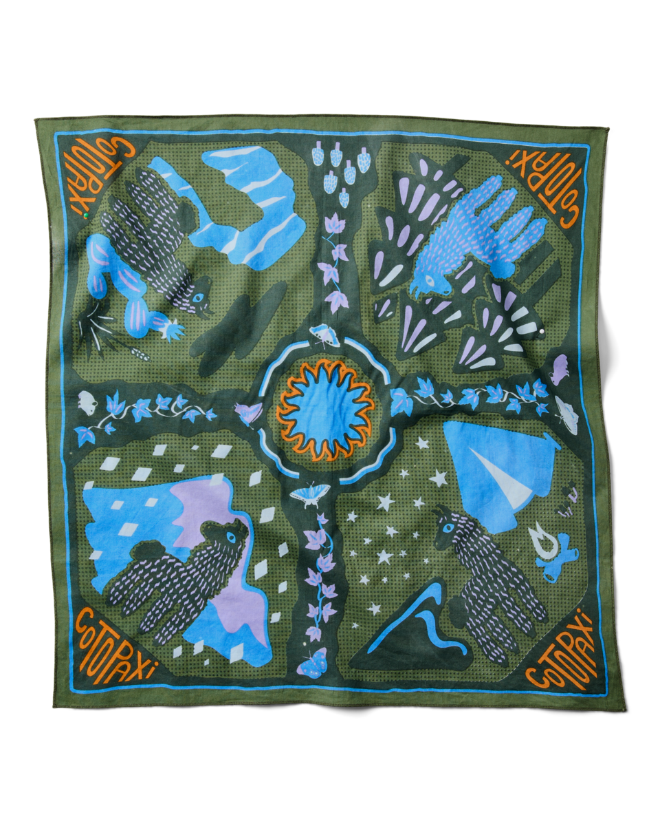 Organic Cotton Bandana - Llama Camp Bandana - US 8215