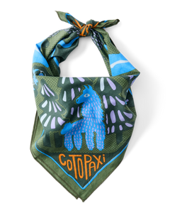 Llama Camp Bandana